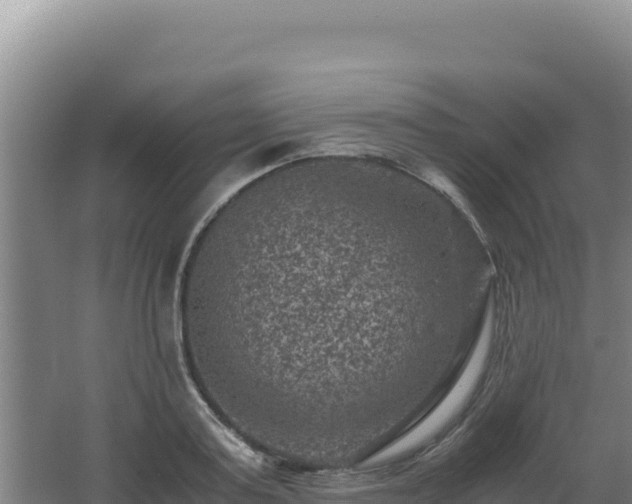 X0000062630795200512231012