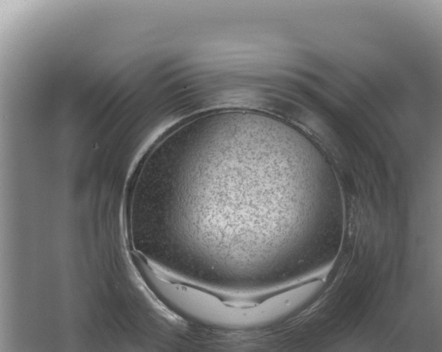 X0000062630796200512231012