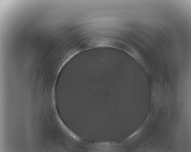 X0000062630798200512231012