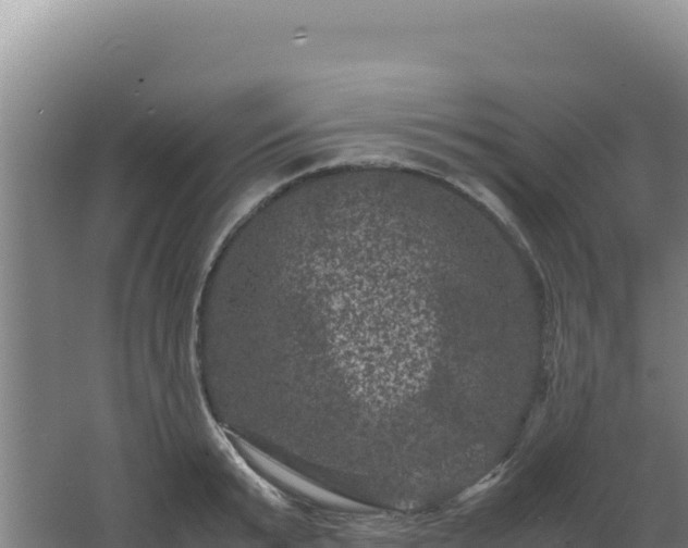 X0000062630799200512231012