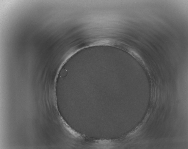 X0000062630800200512231012