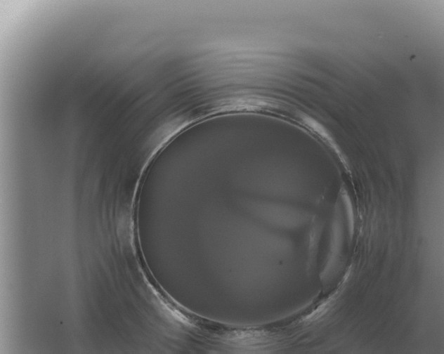 X0000062630802200512231012