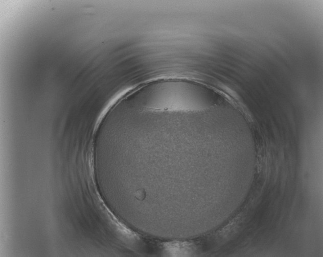 X0000062630804200512231012