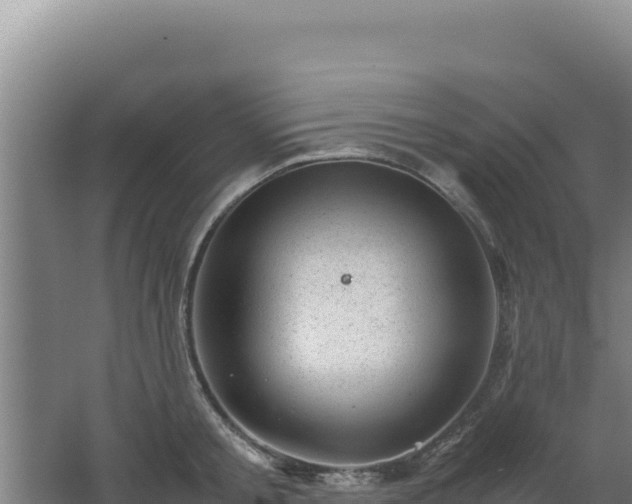 X0000062630805200512231012