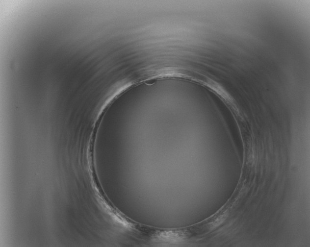 X0000062630806200512231012