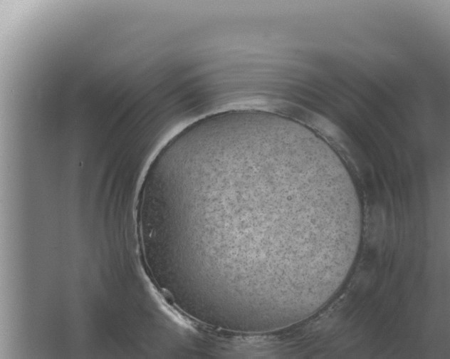 X0000062630808200512231012