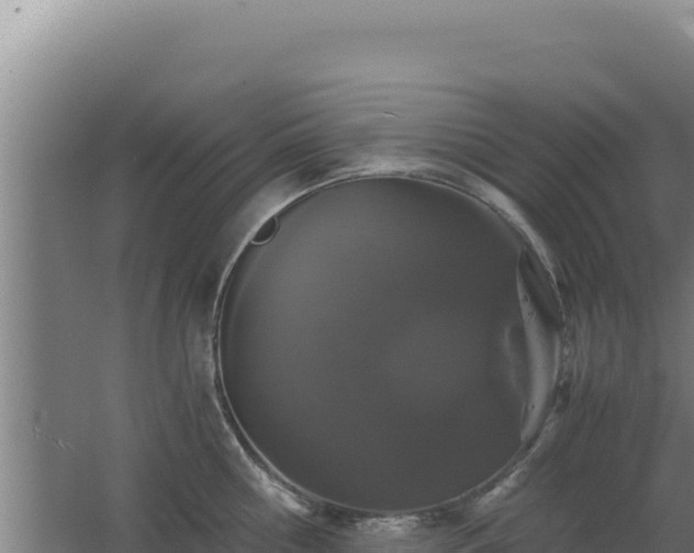 X0000062630810200512231012