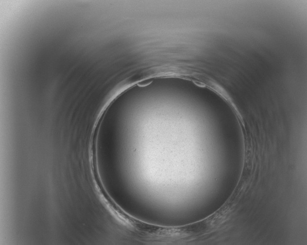 X0000062630811200512231012