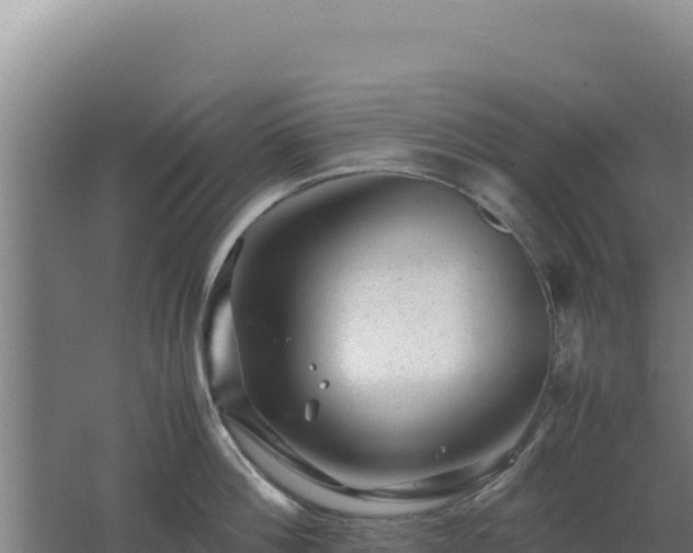 X0000062630812200512231012