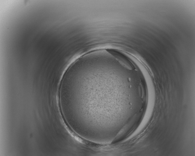 X0000062630813200512231012