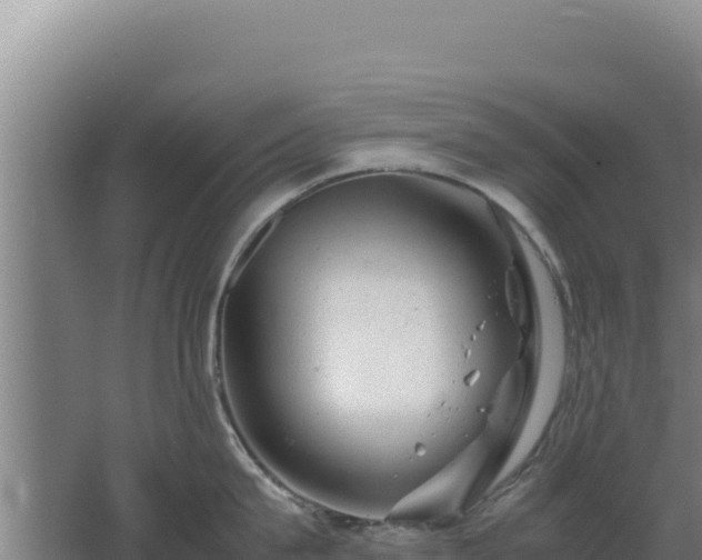 X0000062630815200512231012