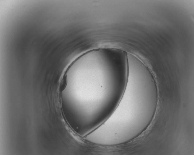 X0000062630816200512231012