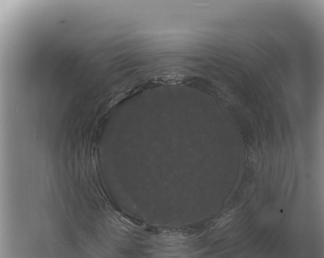 X0000062630818200512231011