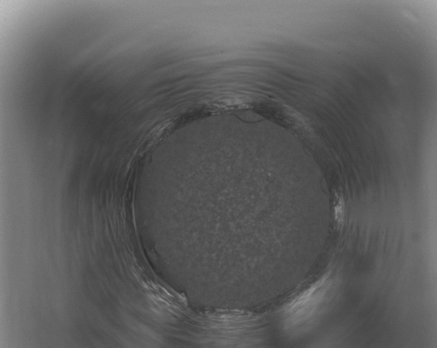 X0000062630819200512231011