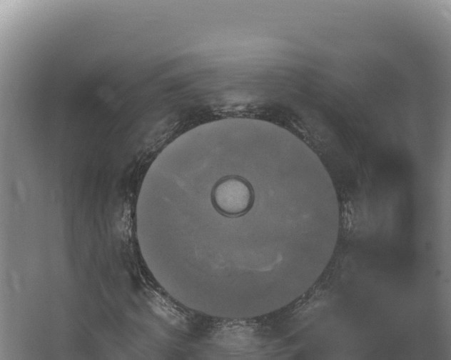 X0000062630820200512231011