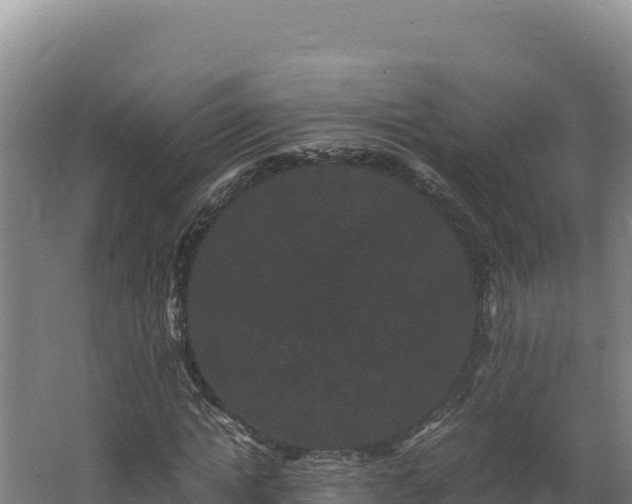 X0000062630822200512231011