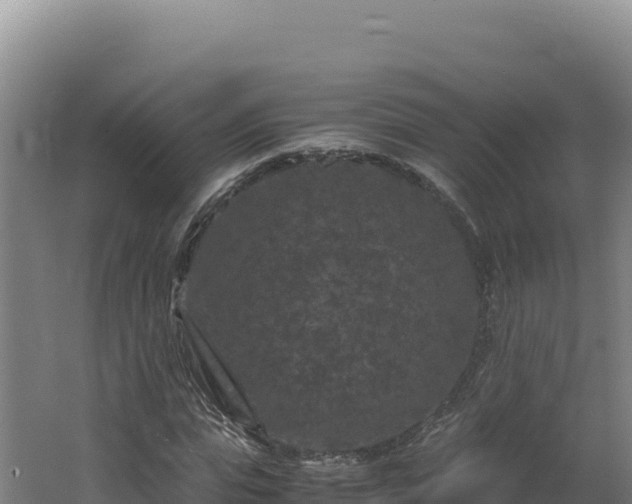 X0000062630823200512231011