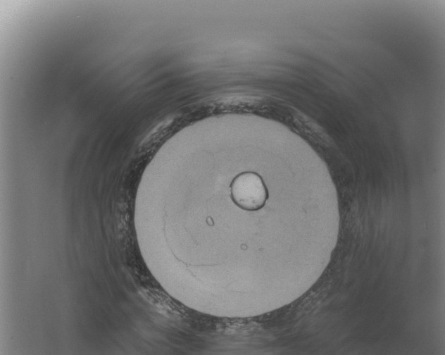 X0000062630824200512231011