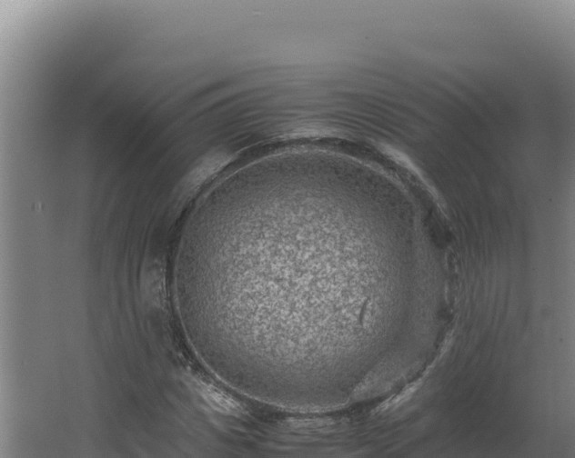 X0000062630825200512231011