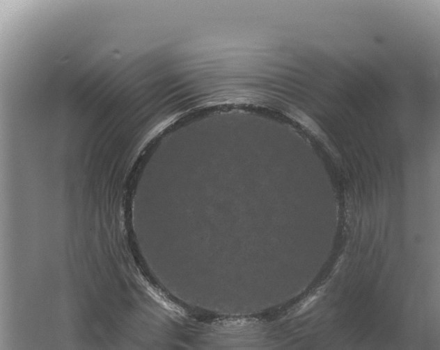 X0000062630826200512231011