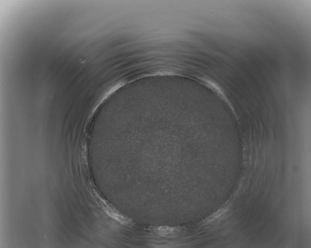 X0000062630827200512231011