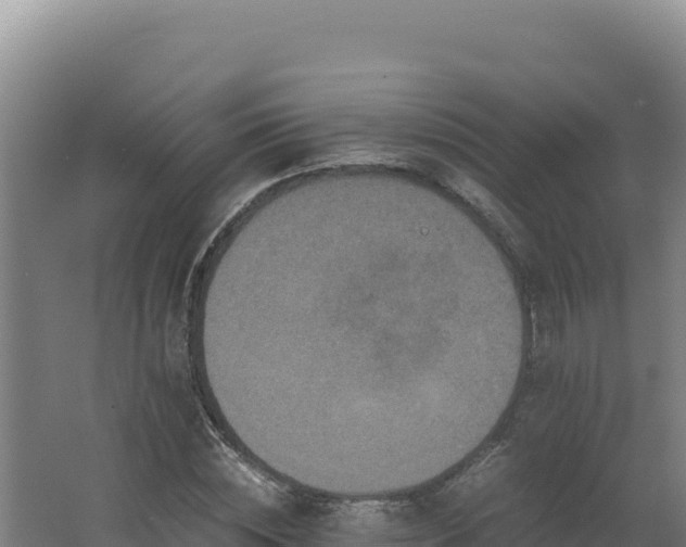 X0000062630828200512231011