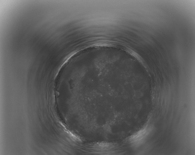 X0000062630829200512231011