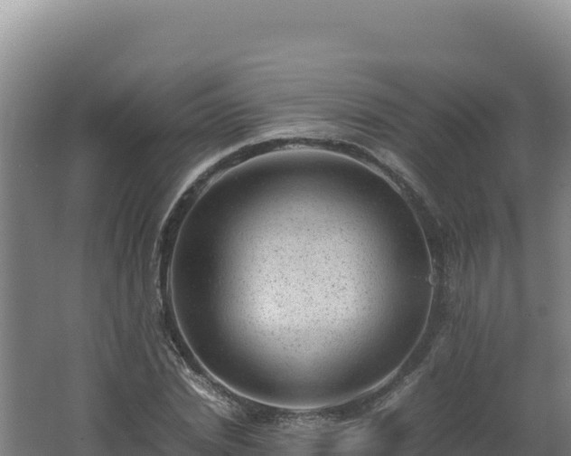 X0000062630830200512231011