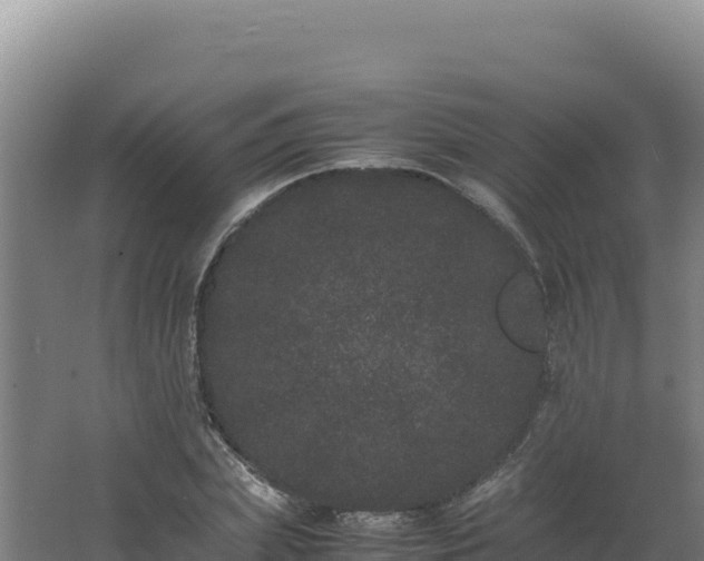 X0000062630831200512231011