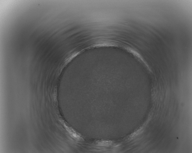 X0000062630833200512231011