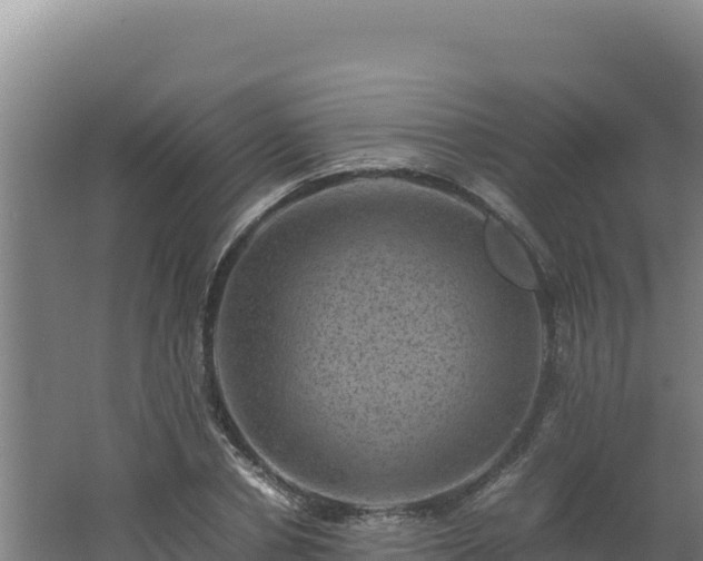 X0000062630834200512231011