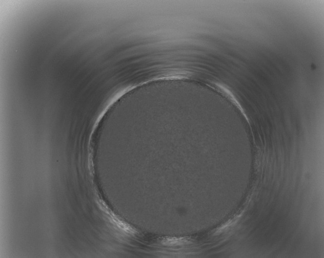 X0000062630835200512231011