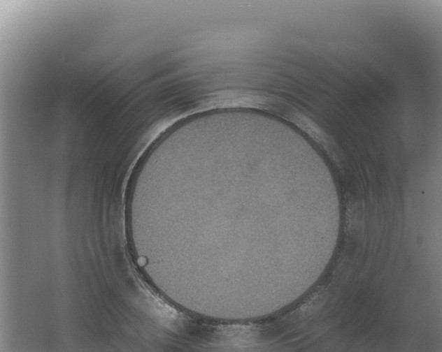 X0000062630836200512231011