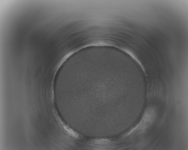 X0000062630837200512231011