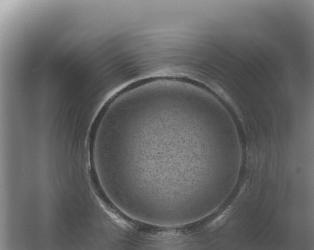 X0000062630838200512231011