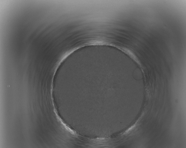 X0000062630839200512231011