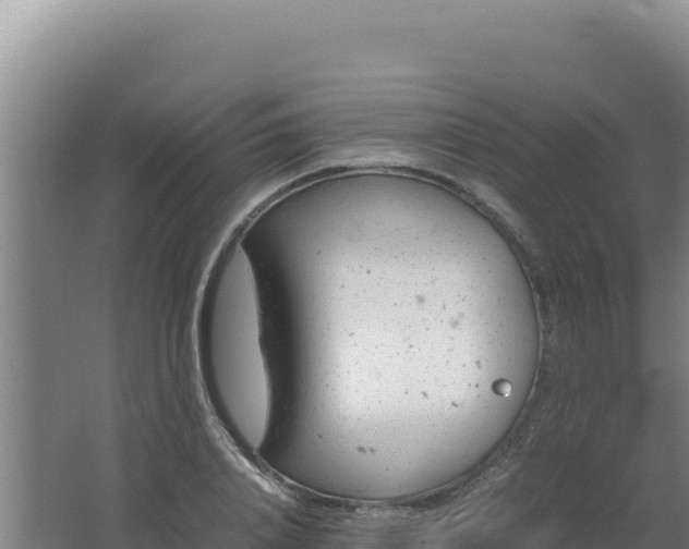 X0000062630840200512231011