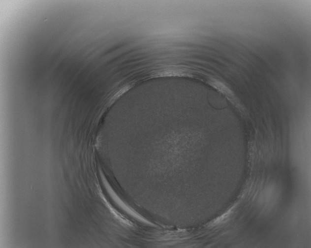 X0000062630841200512231011