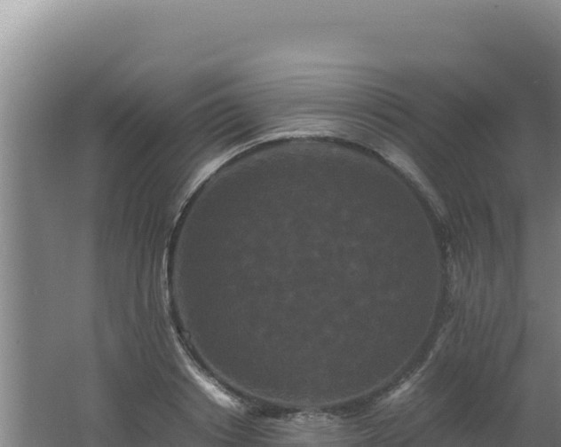 X0000062630842200512231011