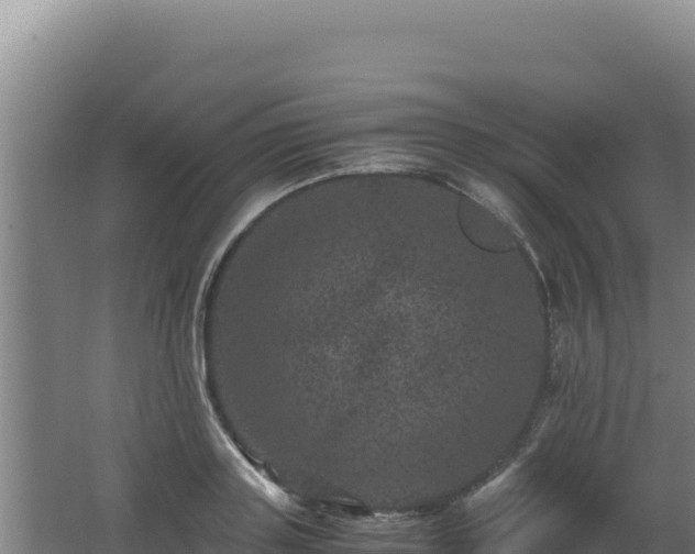 X0000062630843200512231011