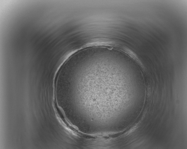 X0000062630844200512231011