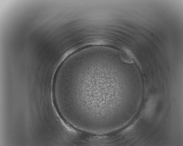 X0000062630845200512231011