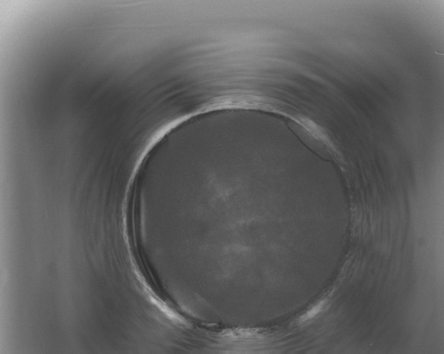 X0000062630846200512231011