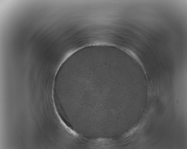 X0000062630847200512231011