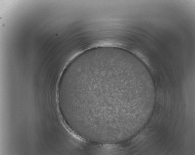 X0000062630848200512231011