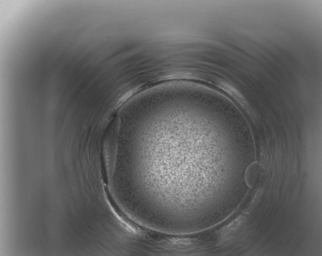 X0000062630849200512231011