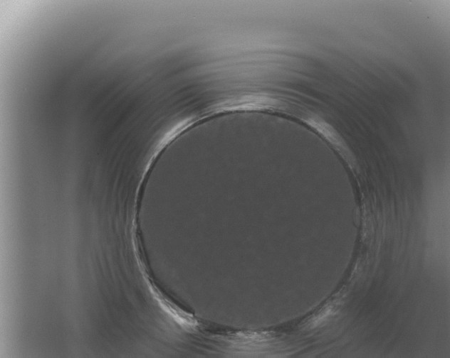 X0000062630850200512231011