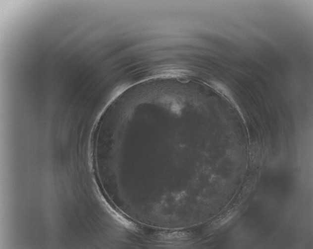 X0000062630851200512231011