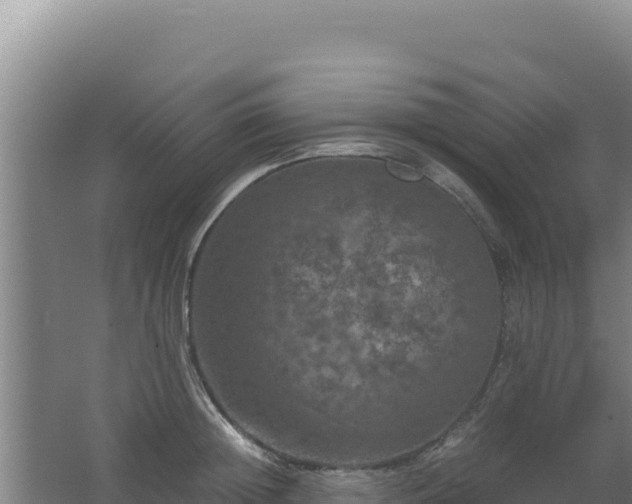 X0000062630852200512231011