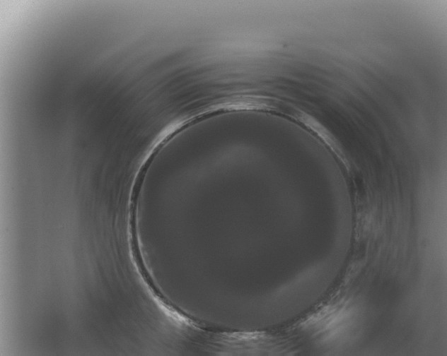 X0000062630853200512231011